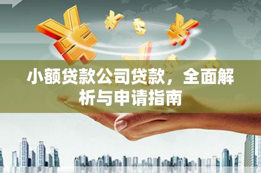 罗庄小额贷款公司贷款，全面解析与申请指南