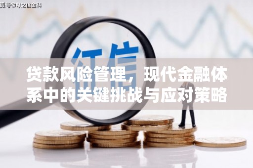 罗庄贷款风险管理，现代金融体系中的关键挑战与应对策略